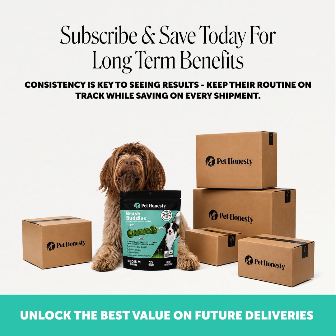 Pet Honesty Brush Buddies Vet Backed Dog Dental Chews, 15 Count