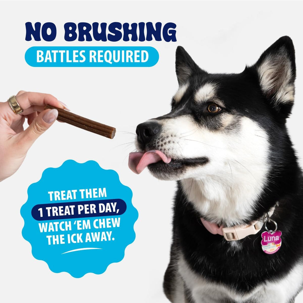 Dental Fresh Dental Treat Sticks for Medium Dogs Brush Free Chews, 26 Ct