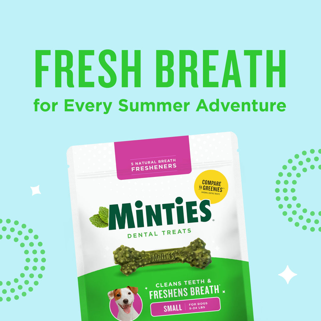Minties FreshBites Low-Calorie Dental Chews for Dogs, 100 Ct