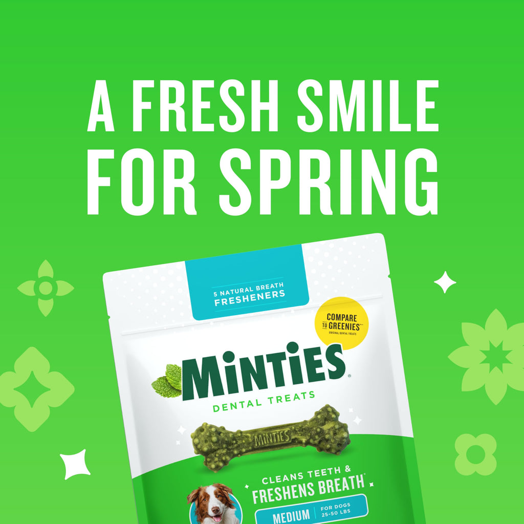 Minties FreshBites Low-Calorie Dental Chews for Dogs, 100 Ct