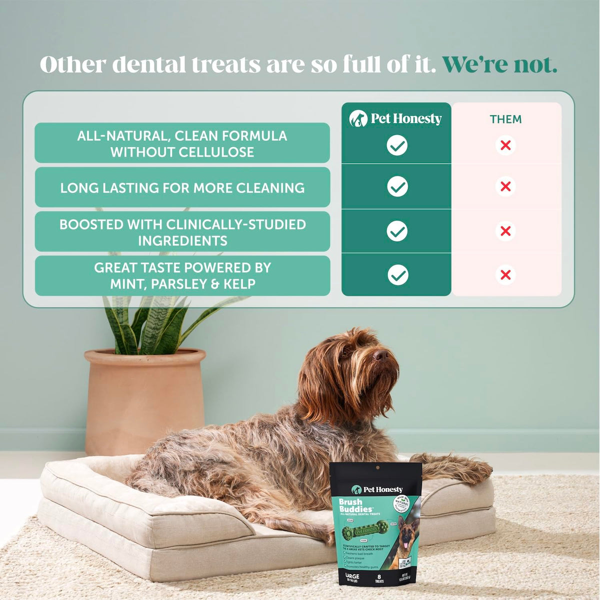 Pet Honesty Brush Buddies Vet Backed Dog Dental Chews, 15 Count