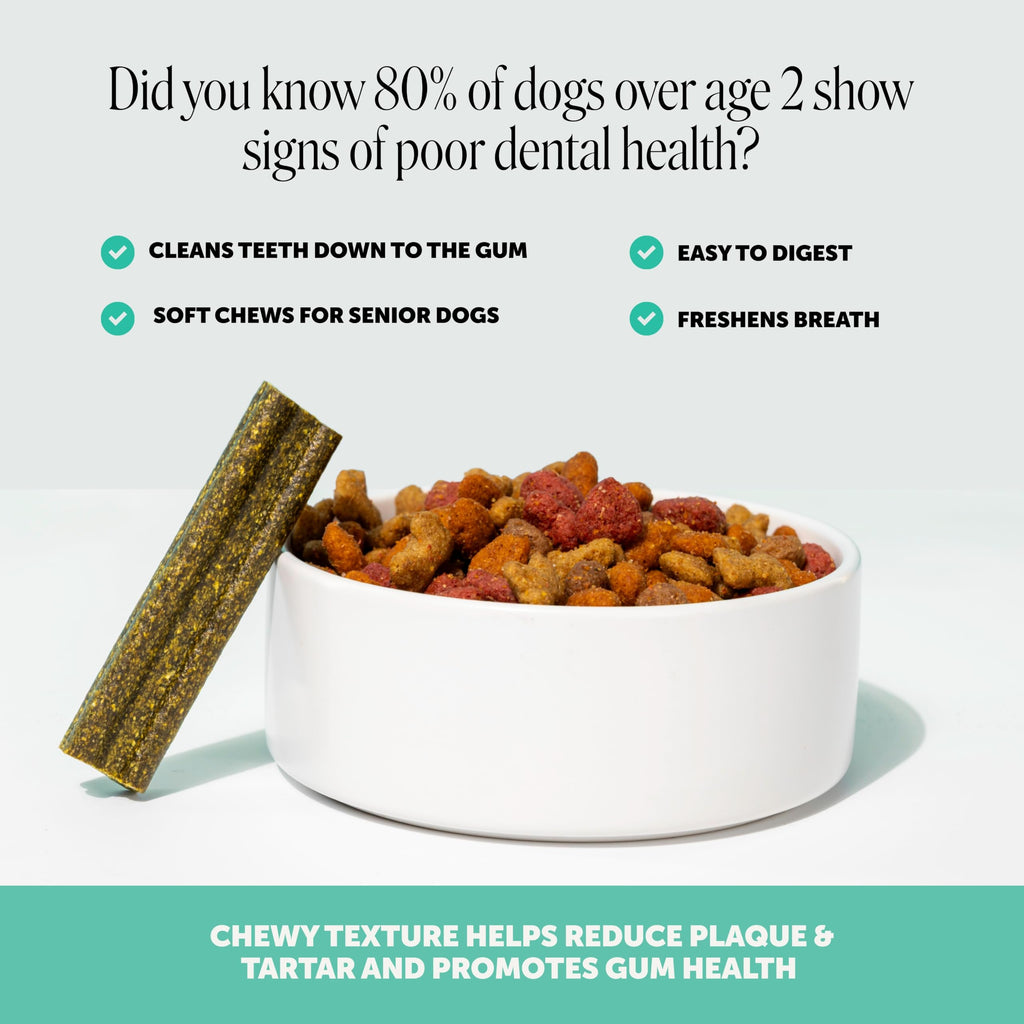 Pet Honesty Brush Buddies Vet Backed Dog Dental Chews, 15 Count