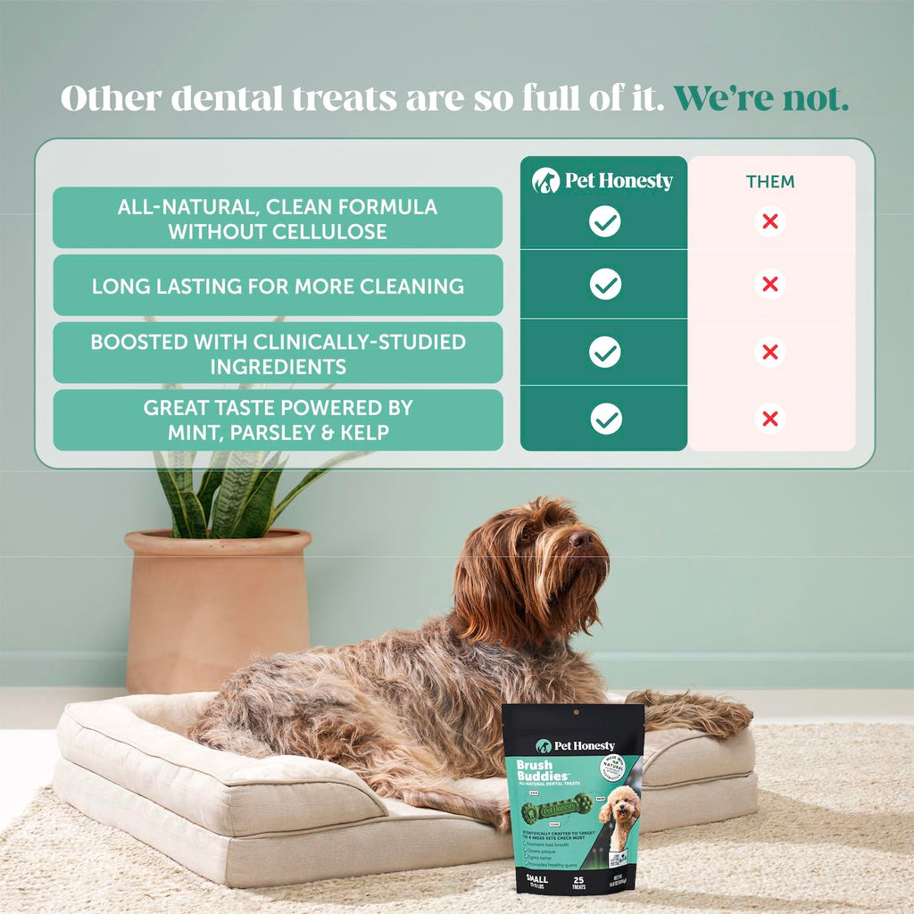 Pet Honesty Brush Buddies Vet Backed Dog Dental Chews, 15 Count