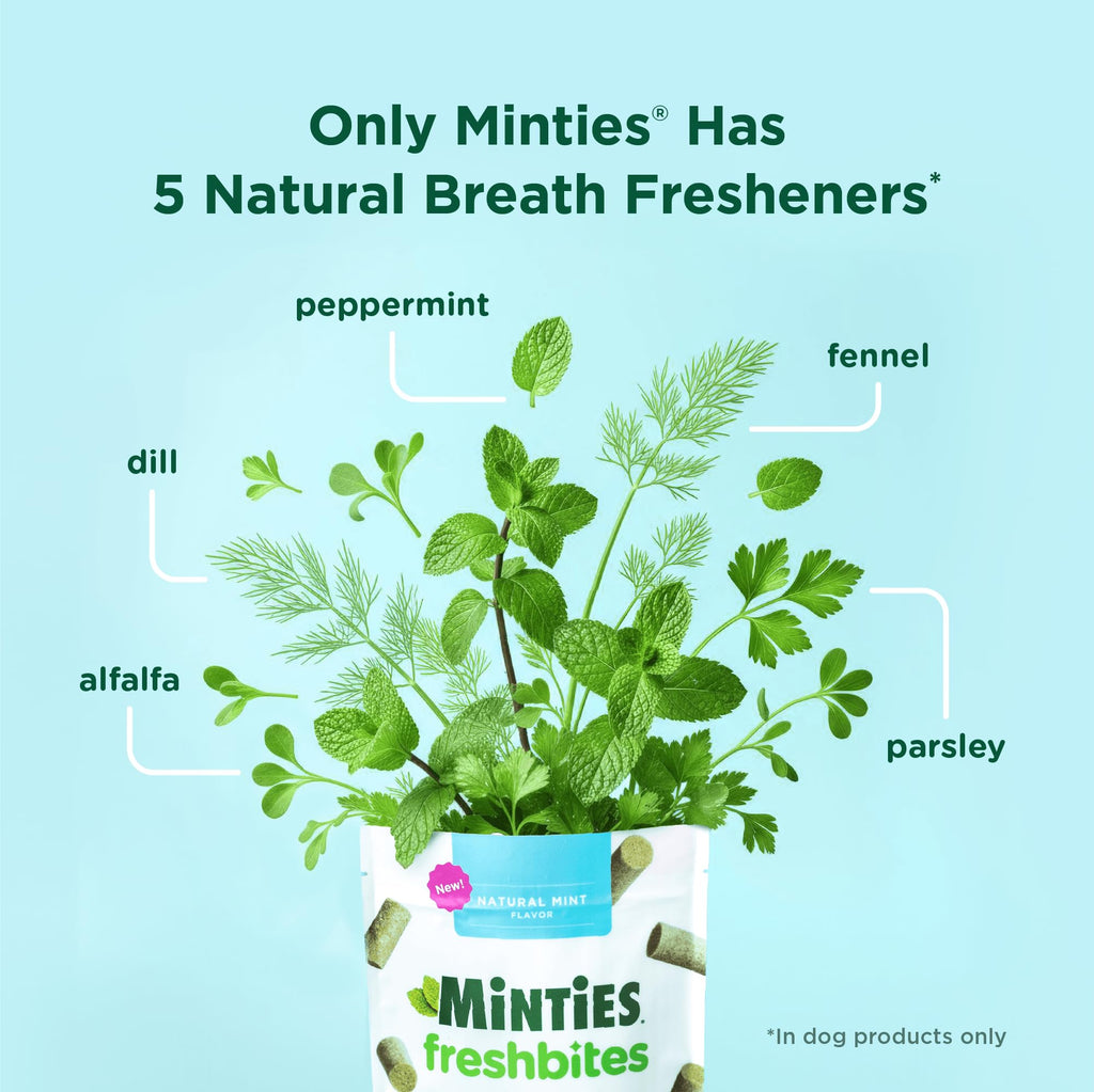 Minties FreshBites Low-Calorie Dental Chews for Dogs, 100 Ct