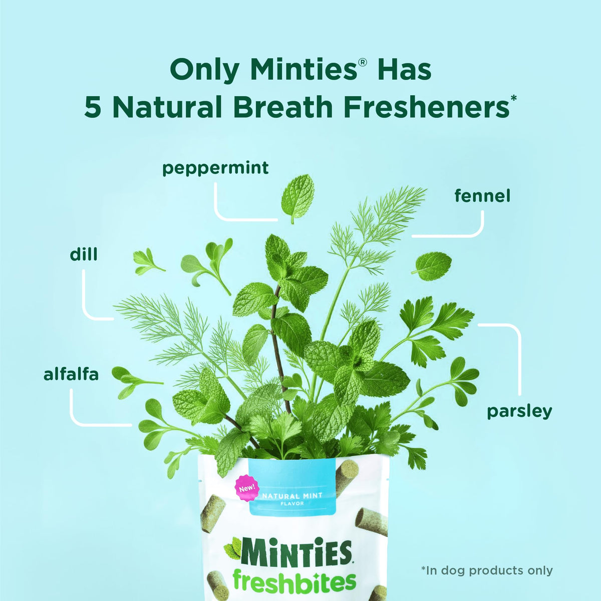 Minties FreshBites Low-Calorie Dental Chews for Dogs, 100 Ct