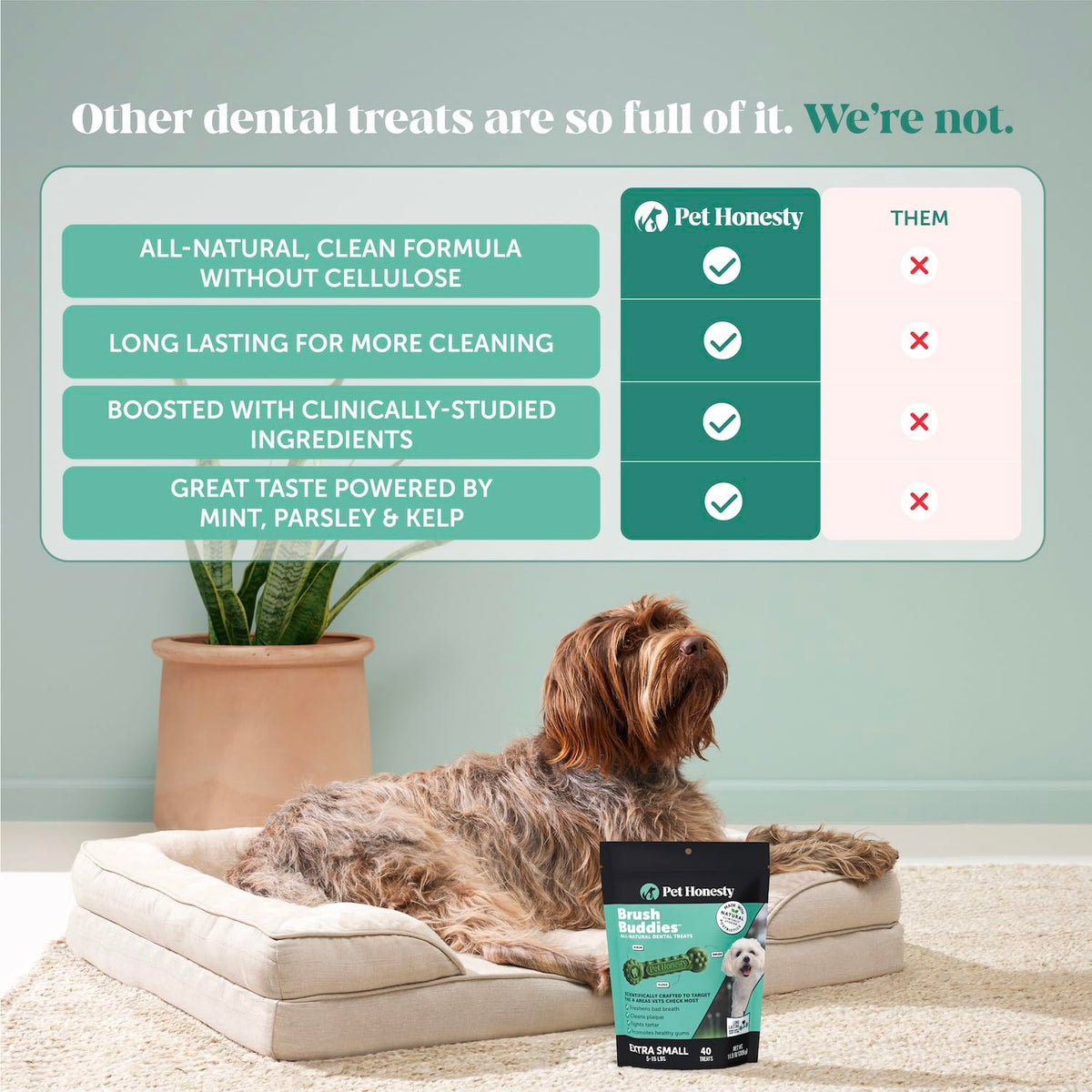 Pet Honesty Brush Buddies Vet Backed Dog Dental Chews, 15 Count