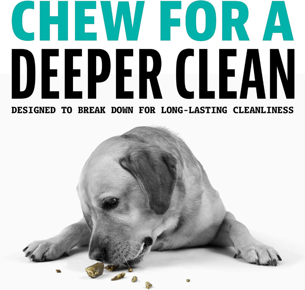 Dinovite Daily Dental Chews for Small Dogs, Freshens Breath, Mint, 30 Count