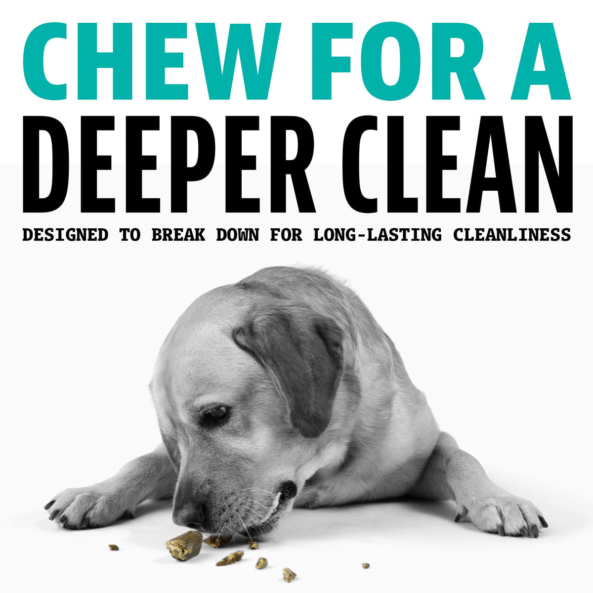 Dinovite Daily Dental Chews for Small Dogs, Freshens Breath, Mint, 30 Count