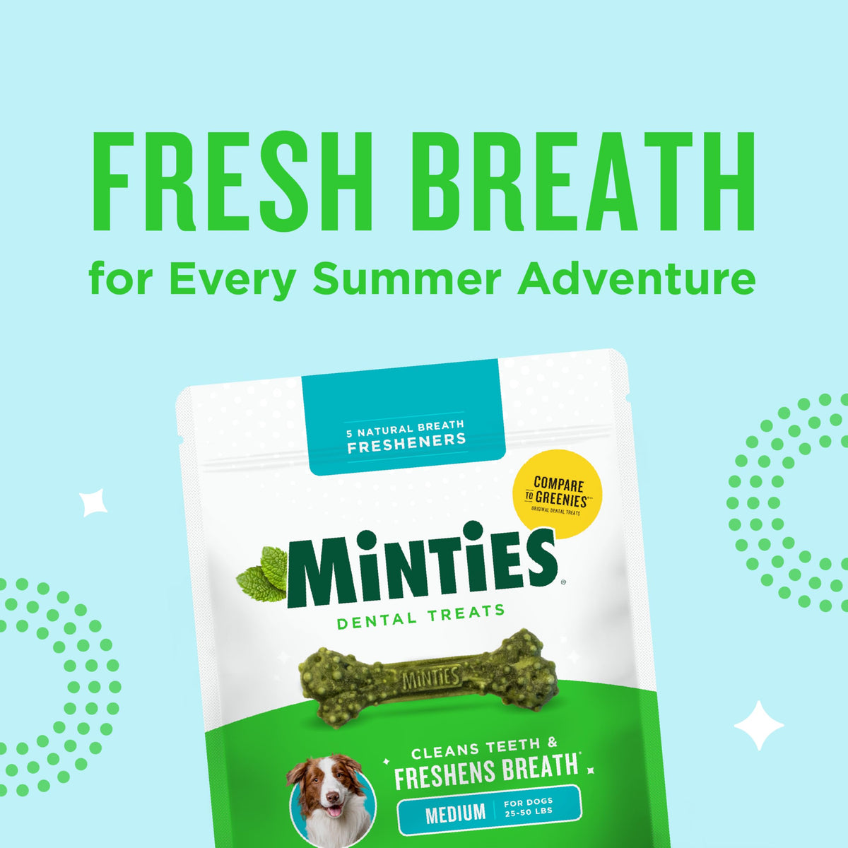 Minties FreshBites Low-Calorie Dental Chews for Dogs, 100 Ct