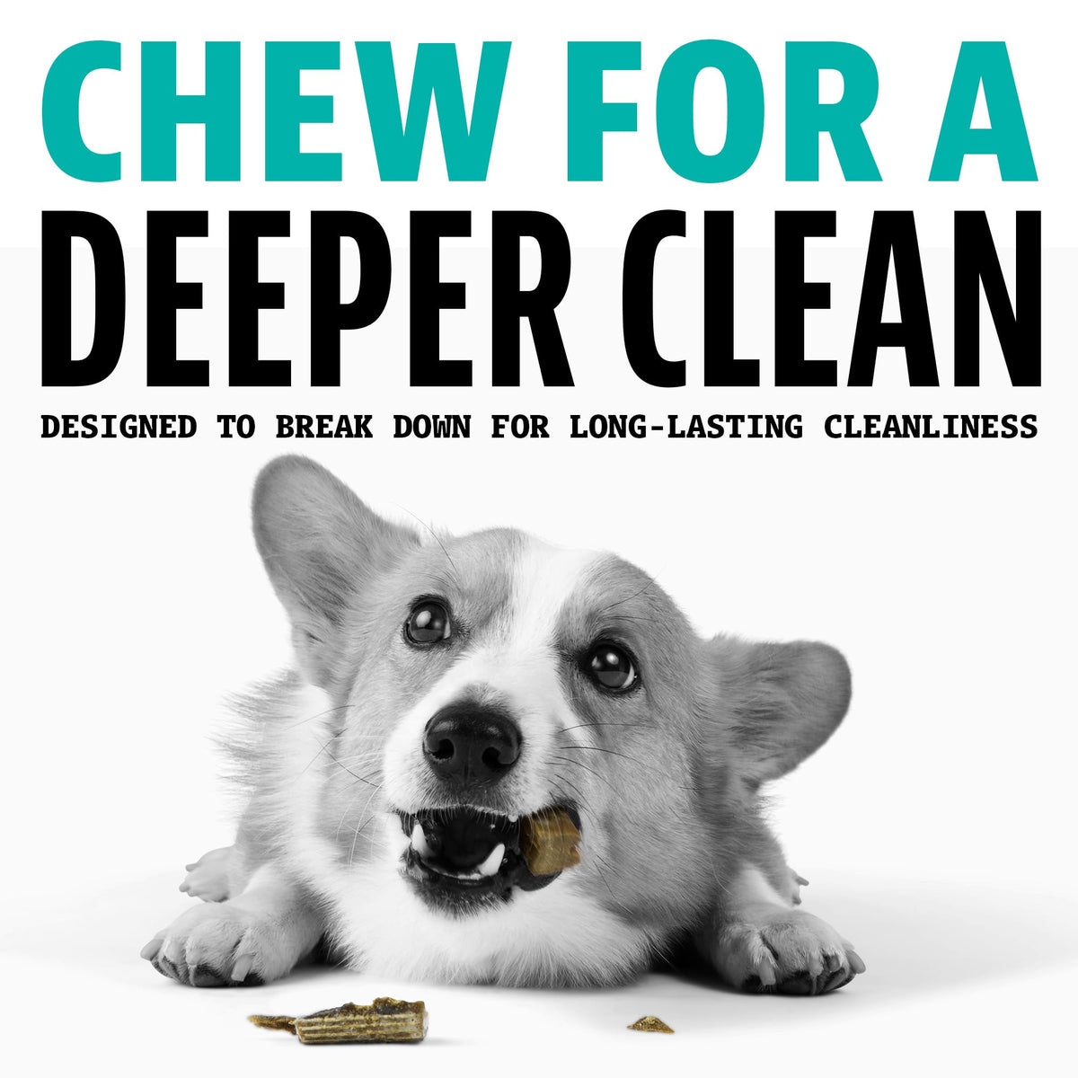 Dinovite Daily Dental Chews for Small Dogs, Freshens Breath, Mint, 30 Count