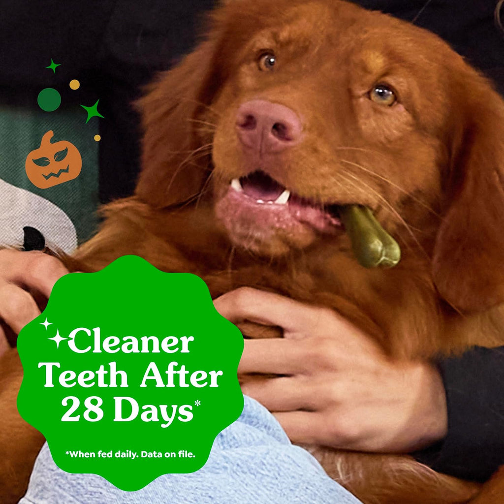 Greenies Teenie Original Natural Dental Dog Treats, Chicken, 43 Count