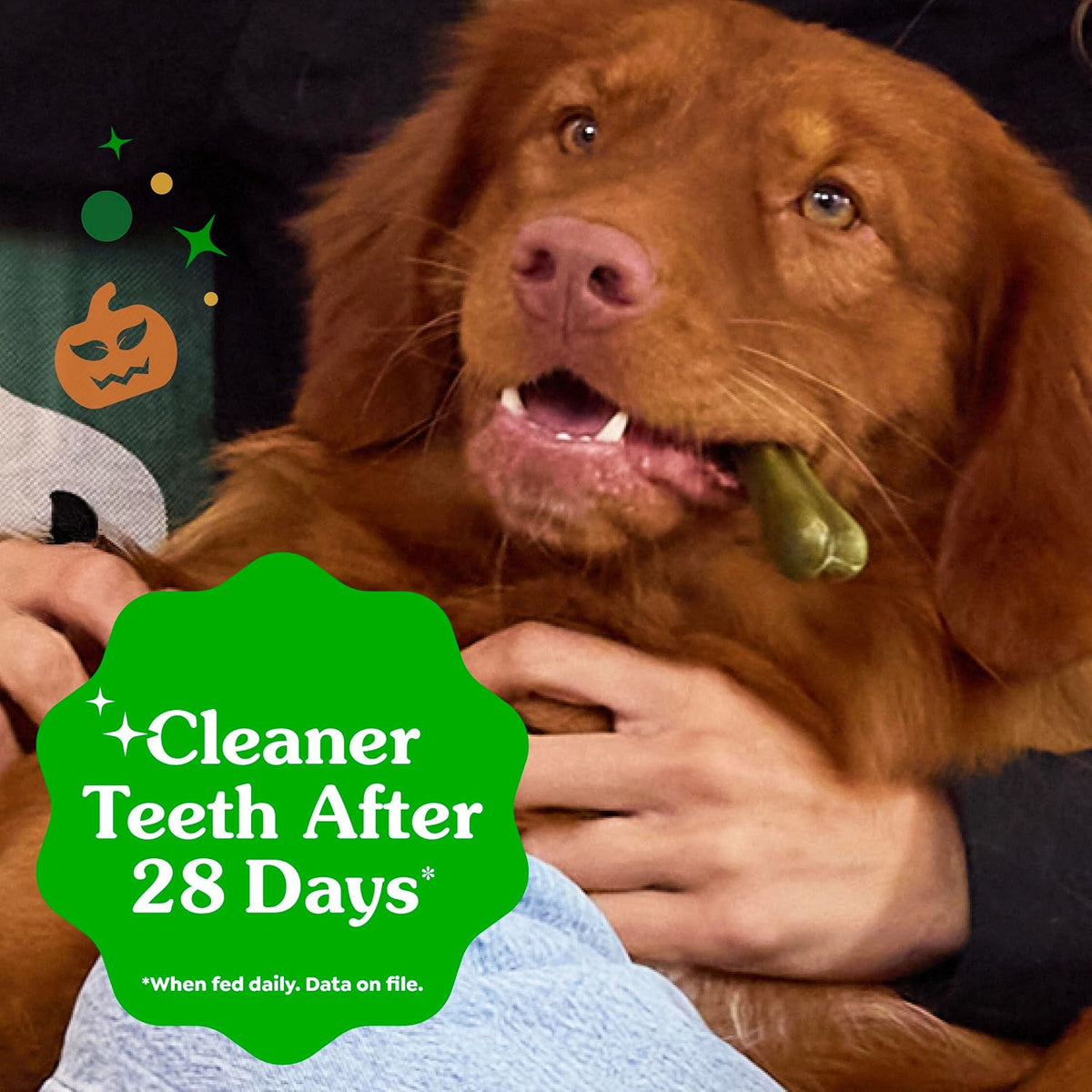 Greenies Teenie Original Natural Dental Dog Treats, Chicken, 43 Count