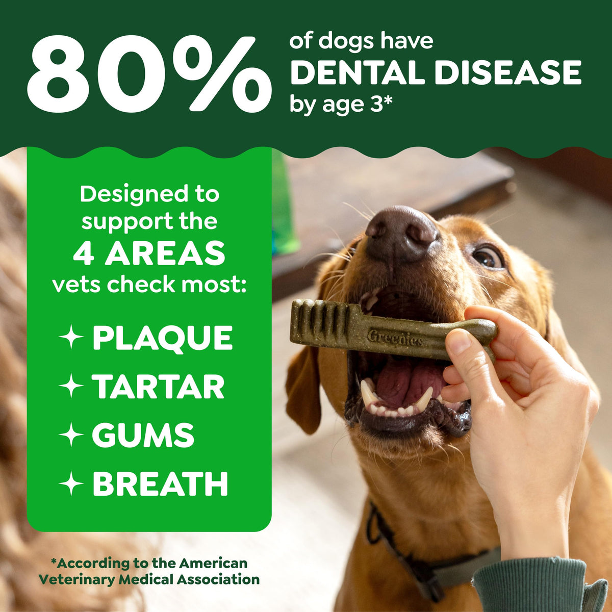 Greenies Petite Natural Dental Dog Treats, Original Flavor, 60 Count