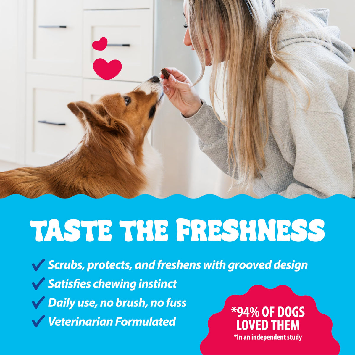 Dental Fresh Dental Treat Sticks for Medium Dogs Brush Free Chews, 26 Ct