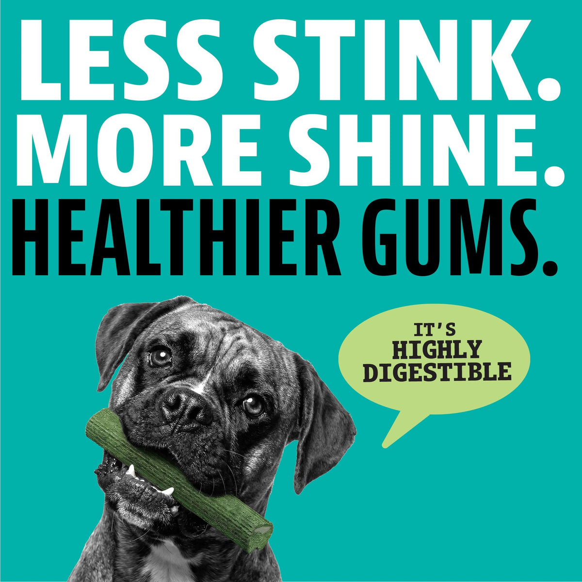 Dinovite Daily Dental Chews for Small Dogs, Freshens Breath, Mint, 30 Count