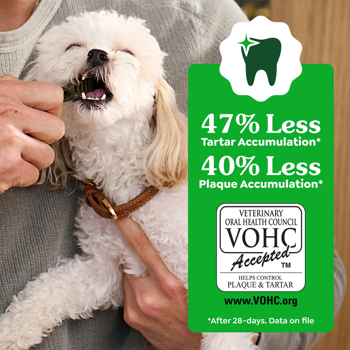 Greenies Petite Natural Dental Dog Treats, Original Flavor, 60 Count