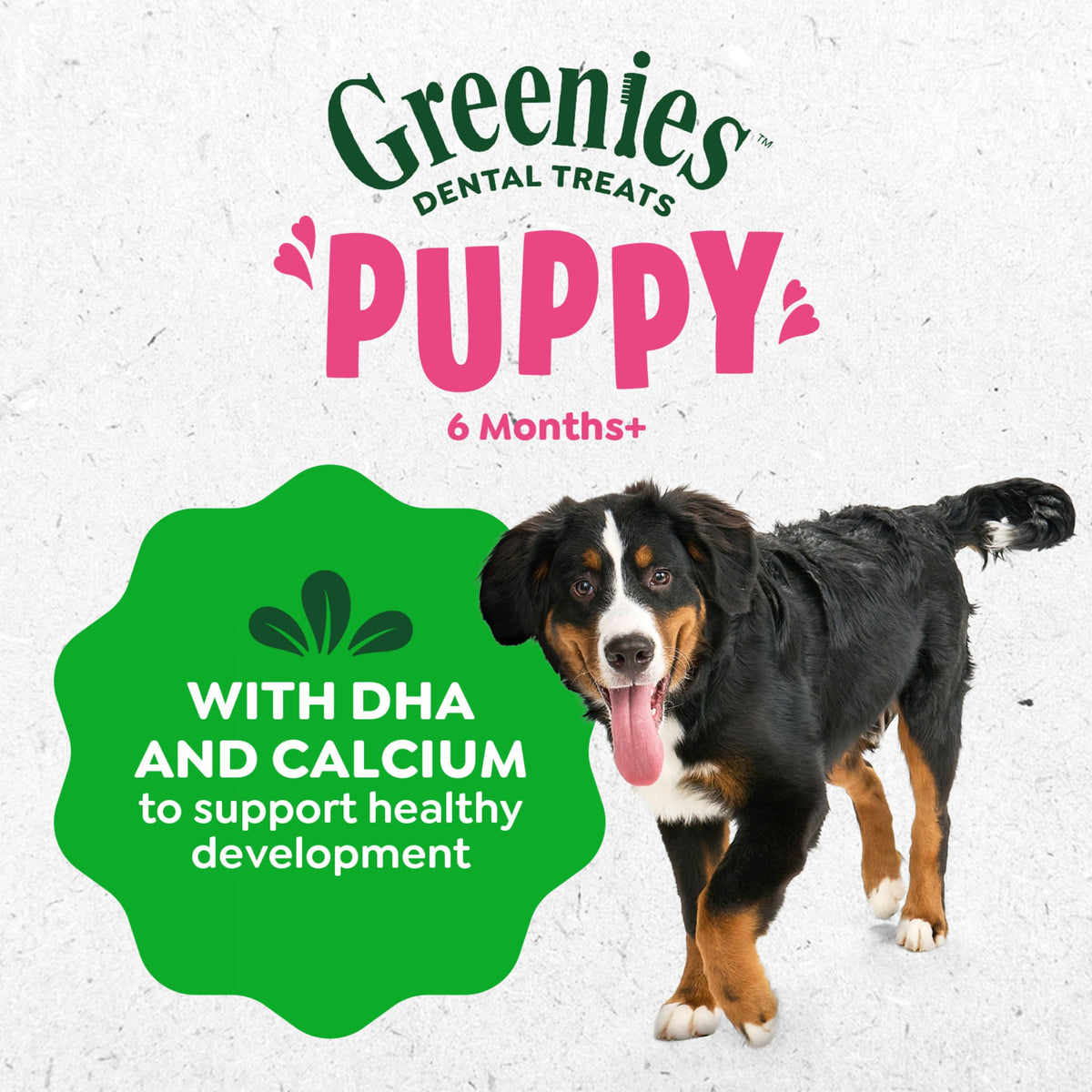 Greenies Puppy Teenie Natural Dental Dog Treats, Original Flavor, 22 Count