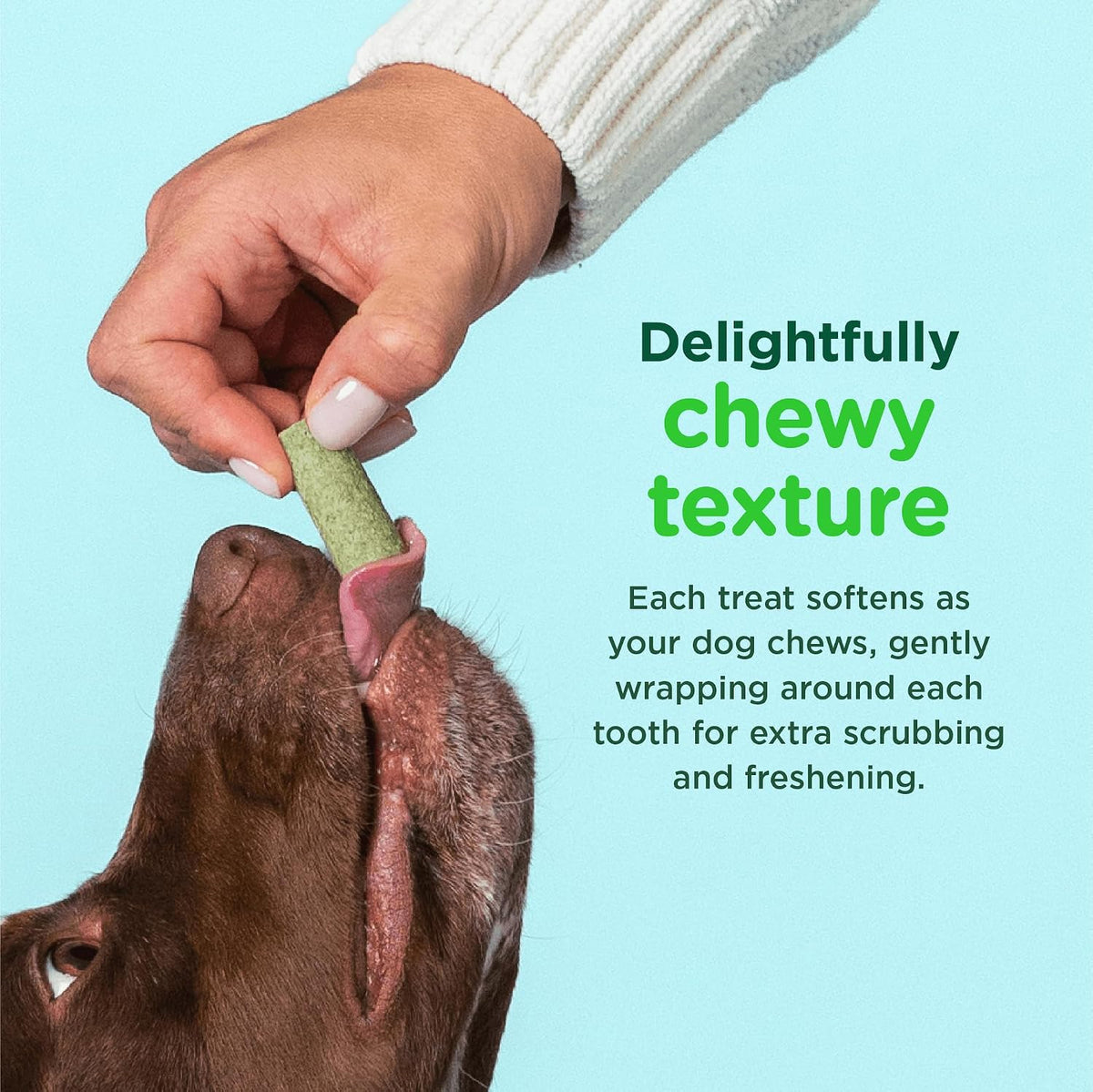 Minties FreshBites Low-Calorie Dental Chews for Dogs, 100 Ct