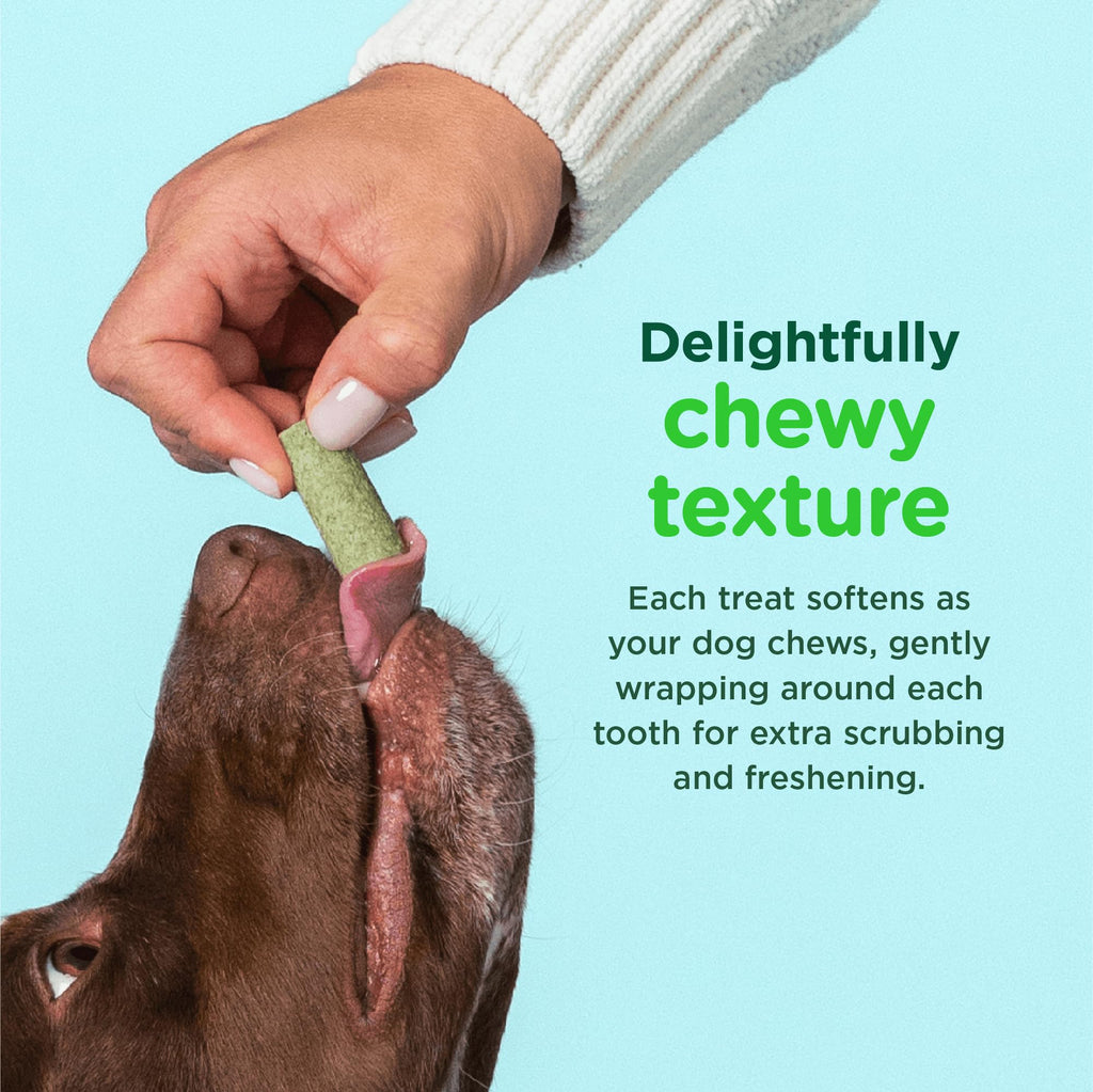 Minties FreshBites Low-Calorie Dental Chews for Dogs, 100 Ct