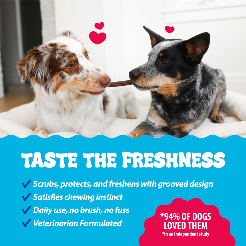 Dental Fresh Dental Treat Sticks for Medium Dogs Brush Free Chews, 26 Ct