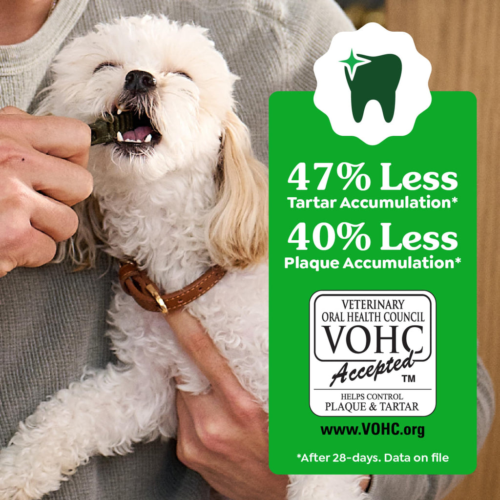 Greenies Petite Natural Dental Dog Treats, Original Flavor, 60 Count